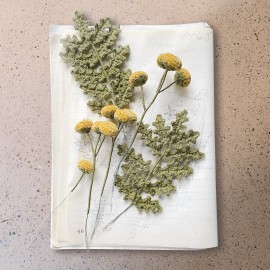 Livre "Dans le pré" Ricorumi